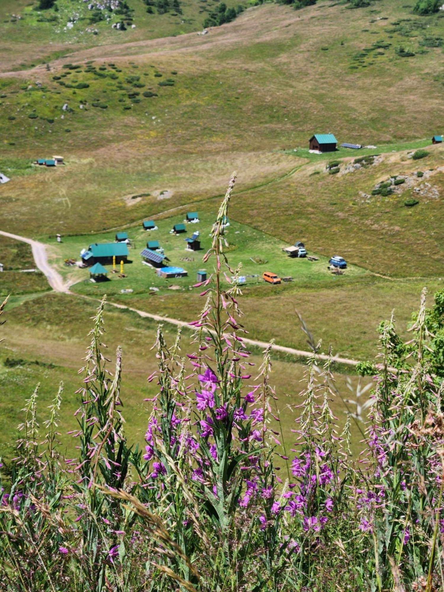 Rural Household Janketic Kolašin Buitenkant foto