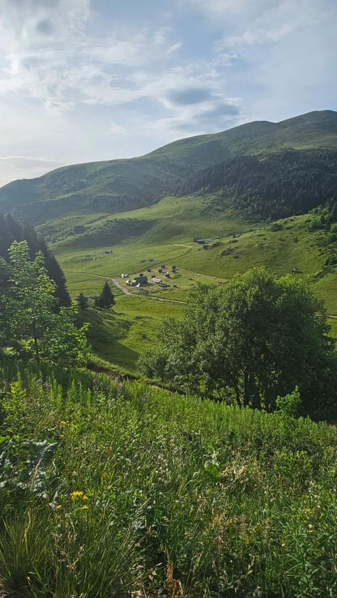 Rural Household Janketic Kolašin Buitenkant foto